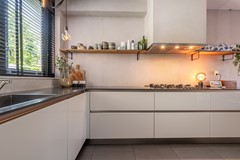Goudzoeker 21-16.jpg